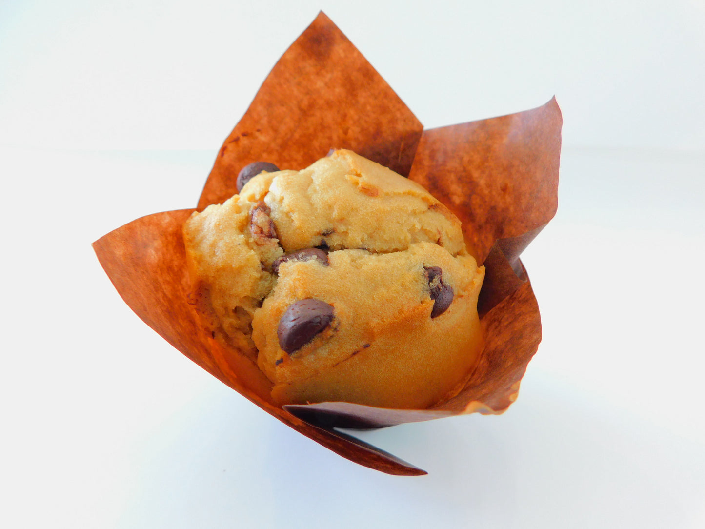 Muffin - Choc. Hazelnut